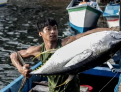 Indonesia Bidik Investasi 600 Miliar Dolar AS Dorong Industri Hilir