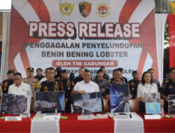 Polri dan Bea Cukai Gagalkan Penyelundupan Benih Lobster Senilai Rp15,1 Miliar