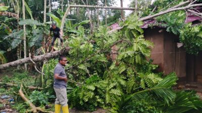 BNPB Tangani Karhutla, Banjir, dan Tanah Longsor di Sejumlah Wilayah Indonesia