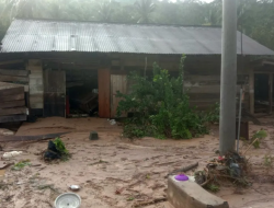 Banjir Bandang Terjang Suoh Lampung Barat Setelah 20 Tahun, Puluhan Warga Mengungsi