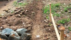 45 Paket Proyek Dinas Pendidikan Pesibar Di tenggarai Wajib Setor 20%