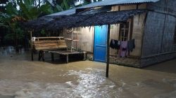 Update BNPB: Korban Jiwa Banjir dan Longsor Sumatera Tembus 82 Orang, 52 Masih Hilang