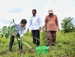 Penanaman Pohon di Taman Kehati Kotabaru Libatkan 863 PPPK Paruh Waktu Pascapelantikan