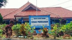 Sebut Ada Indikasi Proyek Fiktif, GRADASI Soroti Dugaan Penyelewengan Anggaran di Dinas Perikanan Tanggamus