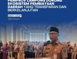 Sosialisasi Penerbitan Obligasi/Sukuk Daerah untuk Dorong Pembangunan Inovatif di Sumatera Bagian Selatan
