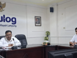 Gudang Bulog di Lampung Penuh, 40 Unit Gudang Sewa Baru Disiapkan untuk Tampung Gabah Petani