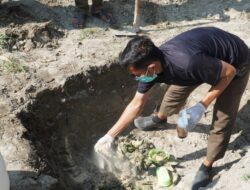 Bea Cukai Langsa Gagalkan Penyelundupan Unggas Ilegal Senilai Setengah Miliar Rupiah di Aceh Tamiang