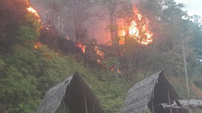 Indonesia Dikepung Bencana: Banjir di Sulawesi, Karhutla dan Angin Kencang Landa Sumatra