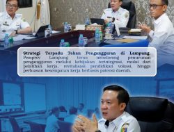 Pemprov Lampung Perkuat Strategi Terpadu Tekan Angka Pengangguran