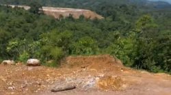 Demi Perluas Tambang Emas, PT Srinding Gusur Paksa Rumah dan Kebun Warga