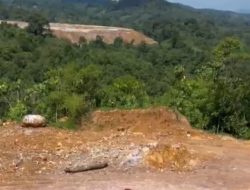 Demi Perluas Tambang Emas, PT Srinding Gusur Paksa Rumah dan Kebun Warga